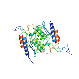 BU of 8e2p by Molmil