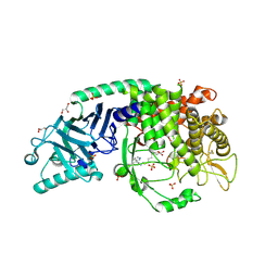 BU of 8e6g by Molmil