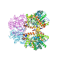 BU of 8ebc by Molmil