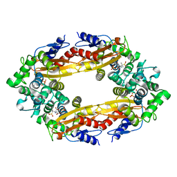 BU of 8ebr by Molmil