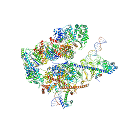 BU of 8ebs by Molmil