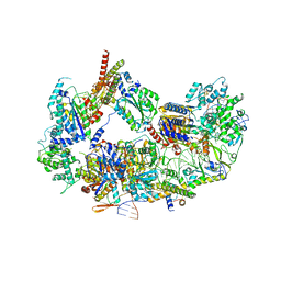 BU of 8ebt by Molmil