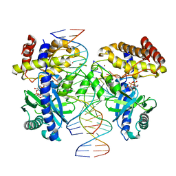 BU of 8ecc by Molmil