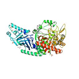 BU of 8ecw by Molmil