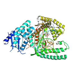 BU of 8ef9 by Molmil