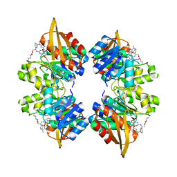 BU of 8egm by Molmil