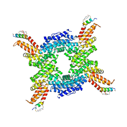 BU of 8ei1 by Molmil