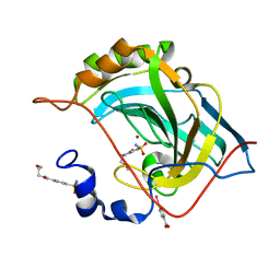 BU of 8emu by Molmil