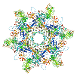 BU of 8env by Molmil