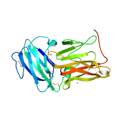 BU of 8eo2 by Molmil