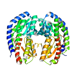 BU of 8eol by Molmil