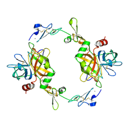 AU of 8eph by Molmil