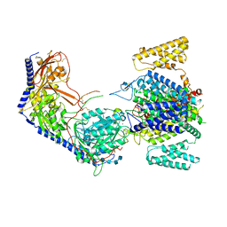 AU of 8epm by Molmil