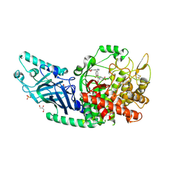 BU of 8epo by Molmil