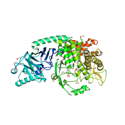 BU of 8epr by Molmil