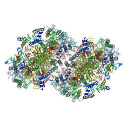 BU of 8eqm by Molmil