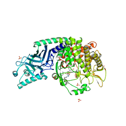 BU of 8eqx by Molmil