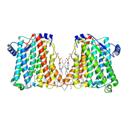 BU of 8erp by Molmil