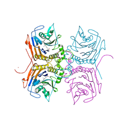 BU of 8etf by Molmil