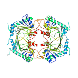 BU of 8etn by Molmil