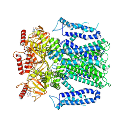 BU of 8evc by Molmil