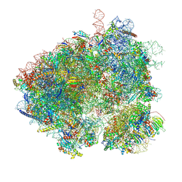 BU of 8evp by Molmil