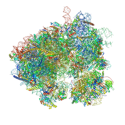 BU of 8evt by Molmil