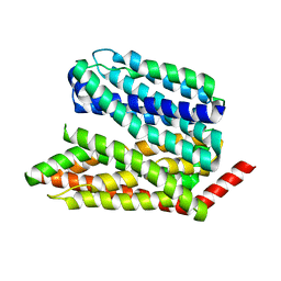 BU of 8ex5 by Molmil