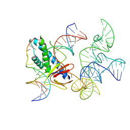 BU of 8ex9 by Molmil