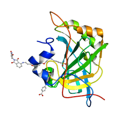 BU of 8exc by Molmil