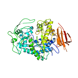 BU of 8exd by Molmil