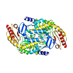 BU of 8ez1 by Molmil