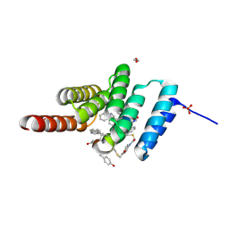 BU of 8f14 by Molmil