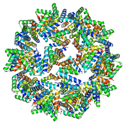 BU of 8f54 by Molmil