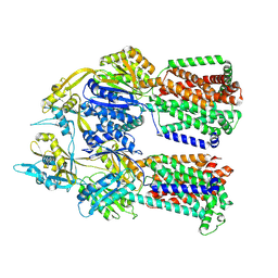 BU of 8f56 by Molmil