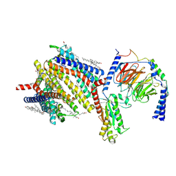 BU of 8f7s by Molmil