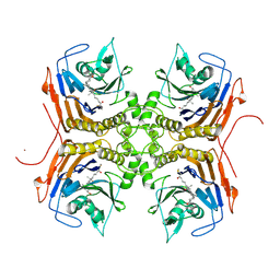 BU of 8fao by Molmil