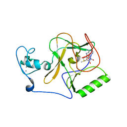 BU of 8fbg by Molmil