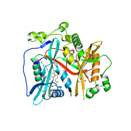 BU of 8fbt by Molmil