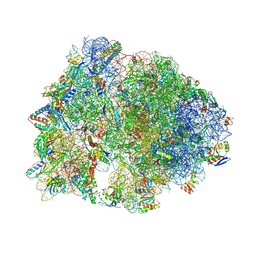 BU of 8fc1 by Molmil