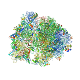 BU of 8fc2 by Molmil