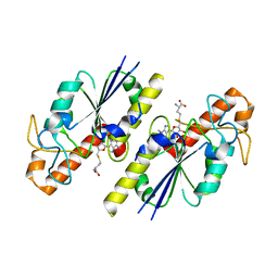 BU of 8fci by Molmil