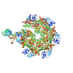 BU of 8fcm by Molmil