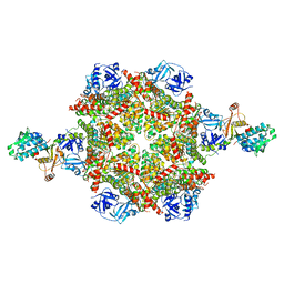 BU of 8fcp by Molmil