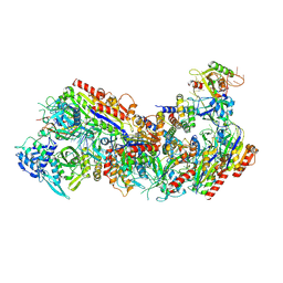 BU of 8fd2 by Molmil