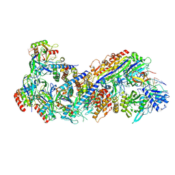 BU of 8fd3 by Molmil