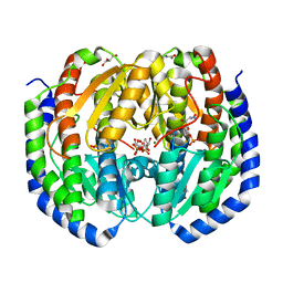 BU of 8fdb by Molmil