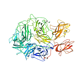 BU of 8fdg by Molmil