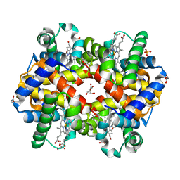 AU of 8fdm by Molmil