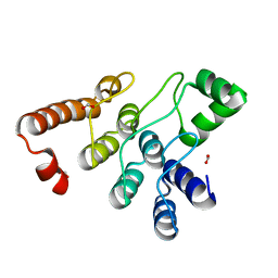 BU of 8fds by Molmil